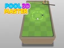 Pool Master 3D